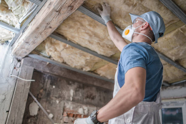 Best Energy Efficiency Solutions in Bushnell, IL