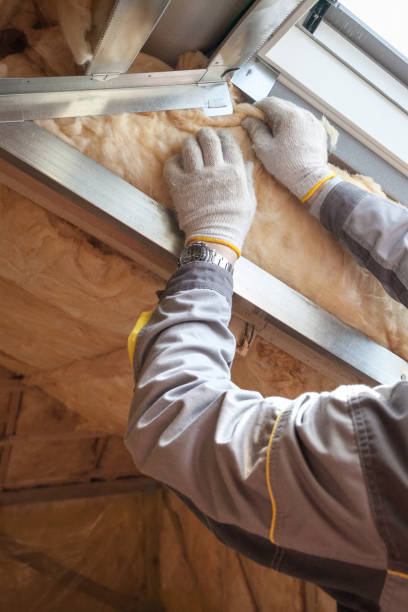 Best Energy Efficiency Solutions in Bushnell, IL
